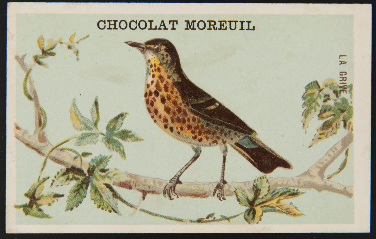 carte réclame chromo 1995.1.4907.2 Photo