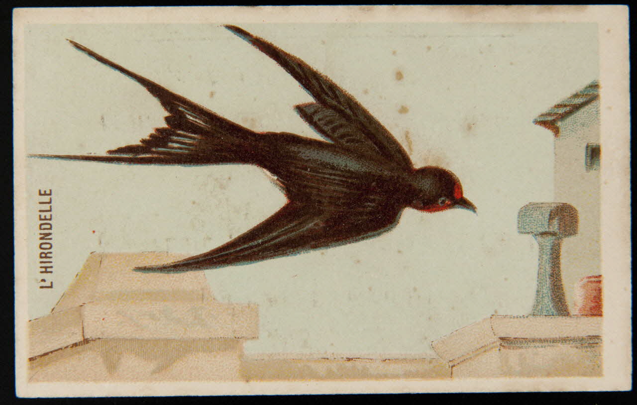 carte réclame chromo 1995.1.4907.3 Photo