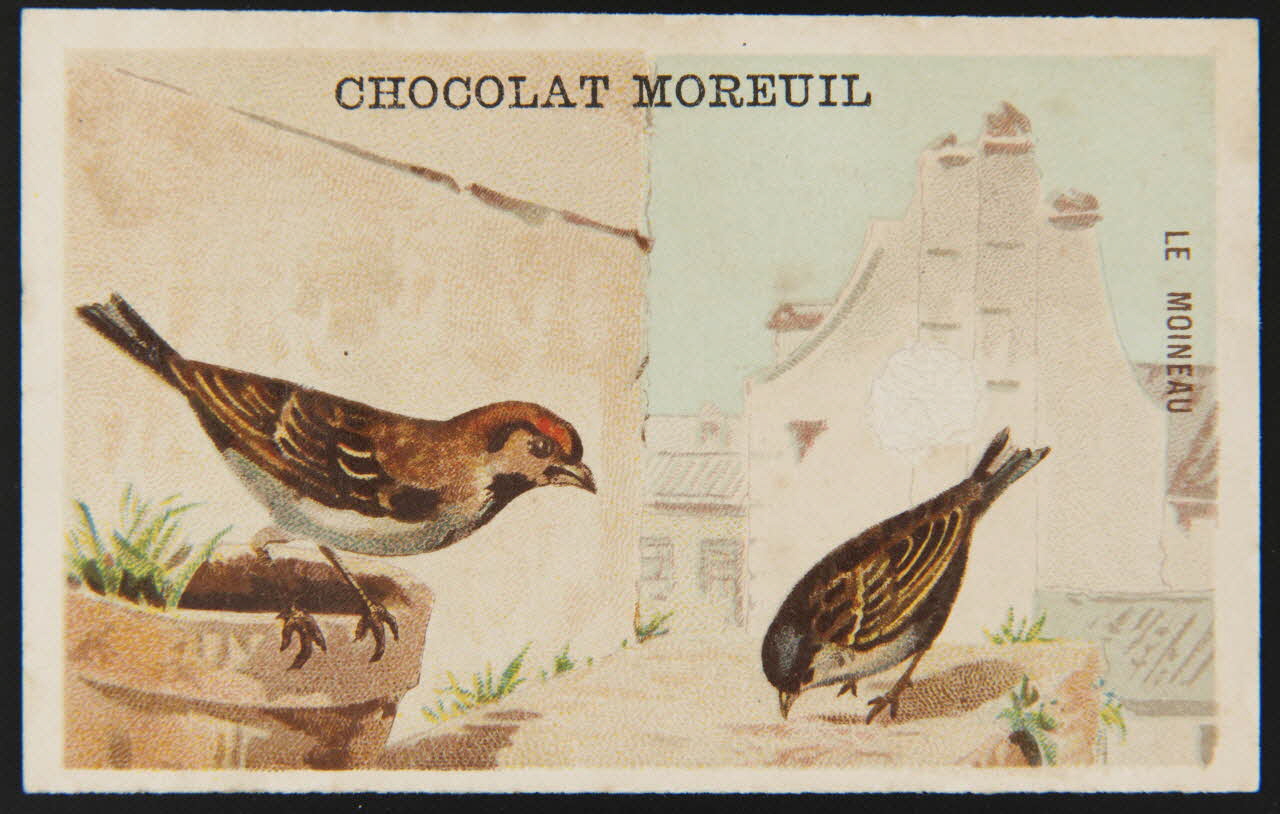 carte réclame chromo 1995.1.4907.4 Photo