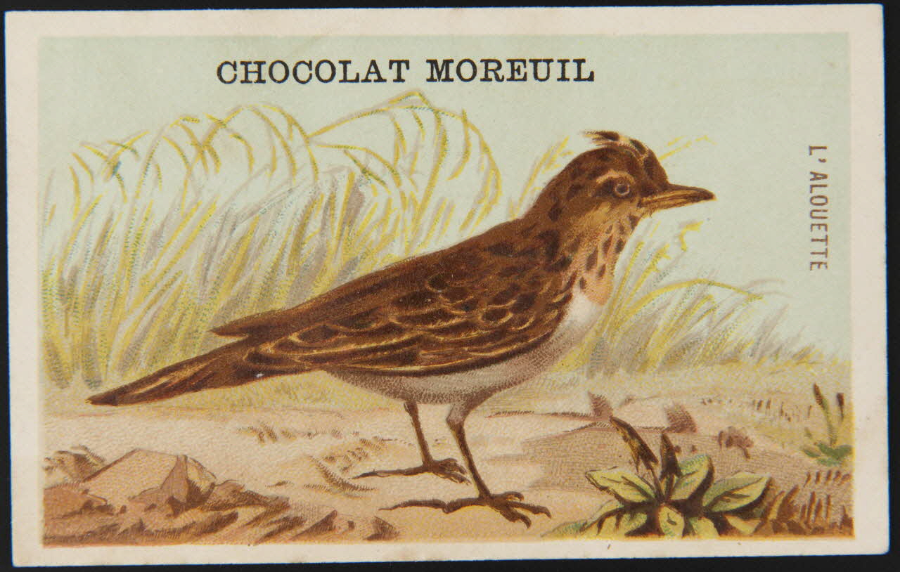 carte réclame chromo 1995.1.4907.5 Photo