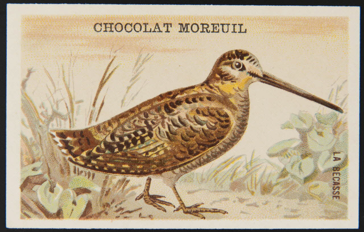 carte réclame chromo 1995.1.4907.6 Photo