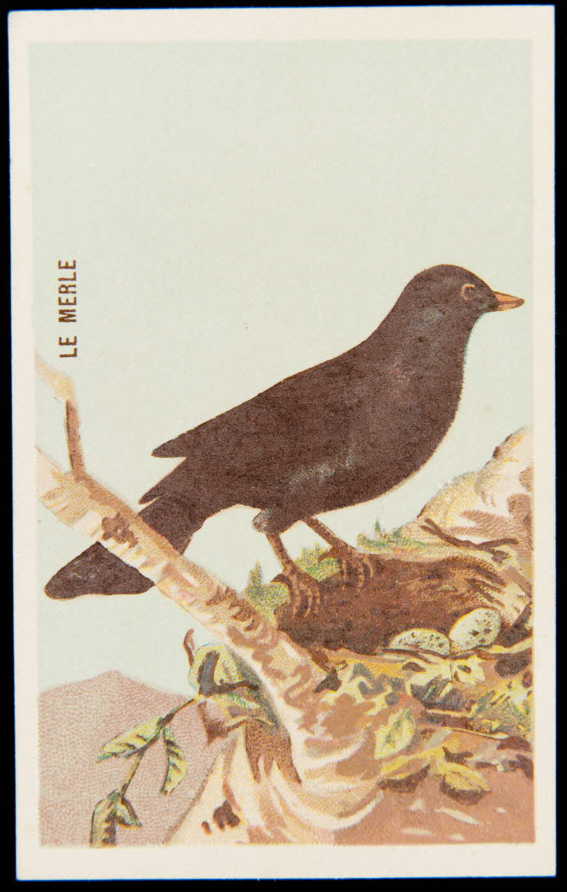 carte réclame chromo 1995.1.4908.1 Photo