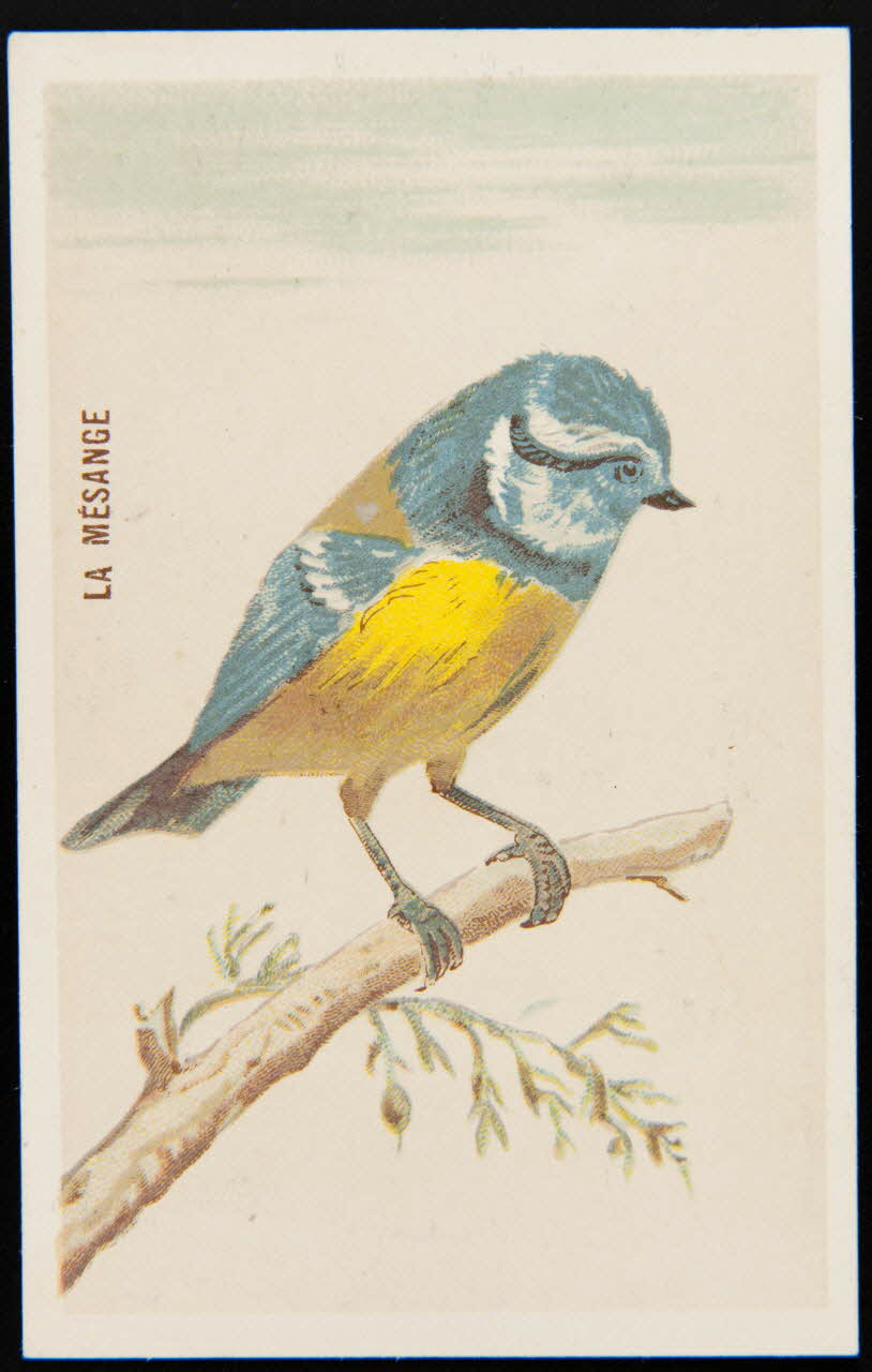 carte réclame chromo 1995.1.4908.2 Photo