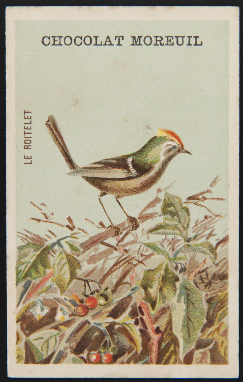 carte réclame chromo 1995.1.4908.5 Photo