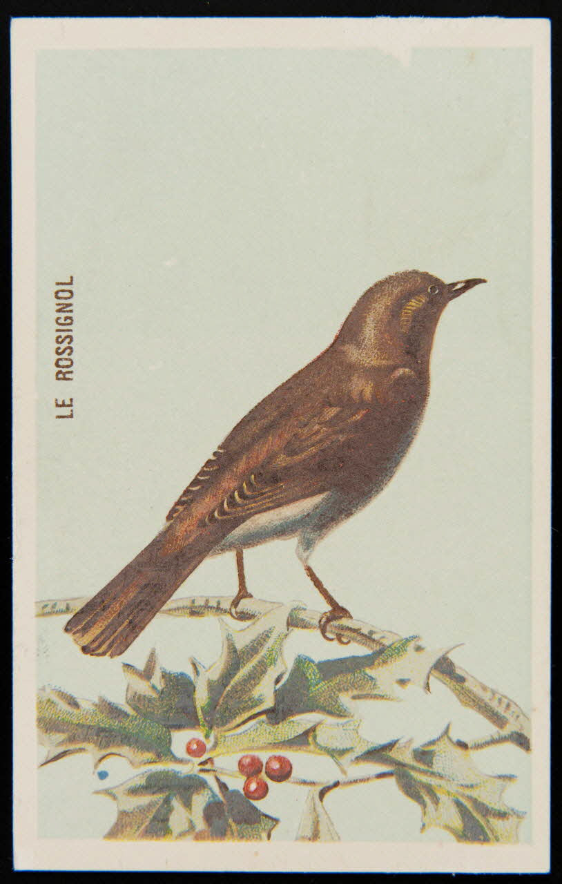 carte réclame chromo 1995.1.4908.6 Photo