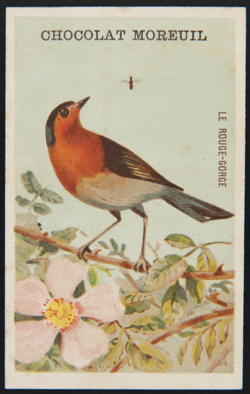 carte réclame chromo 1995.1.4908.7 Photo