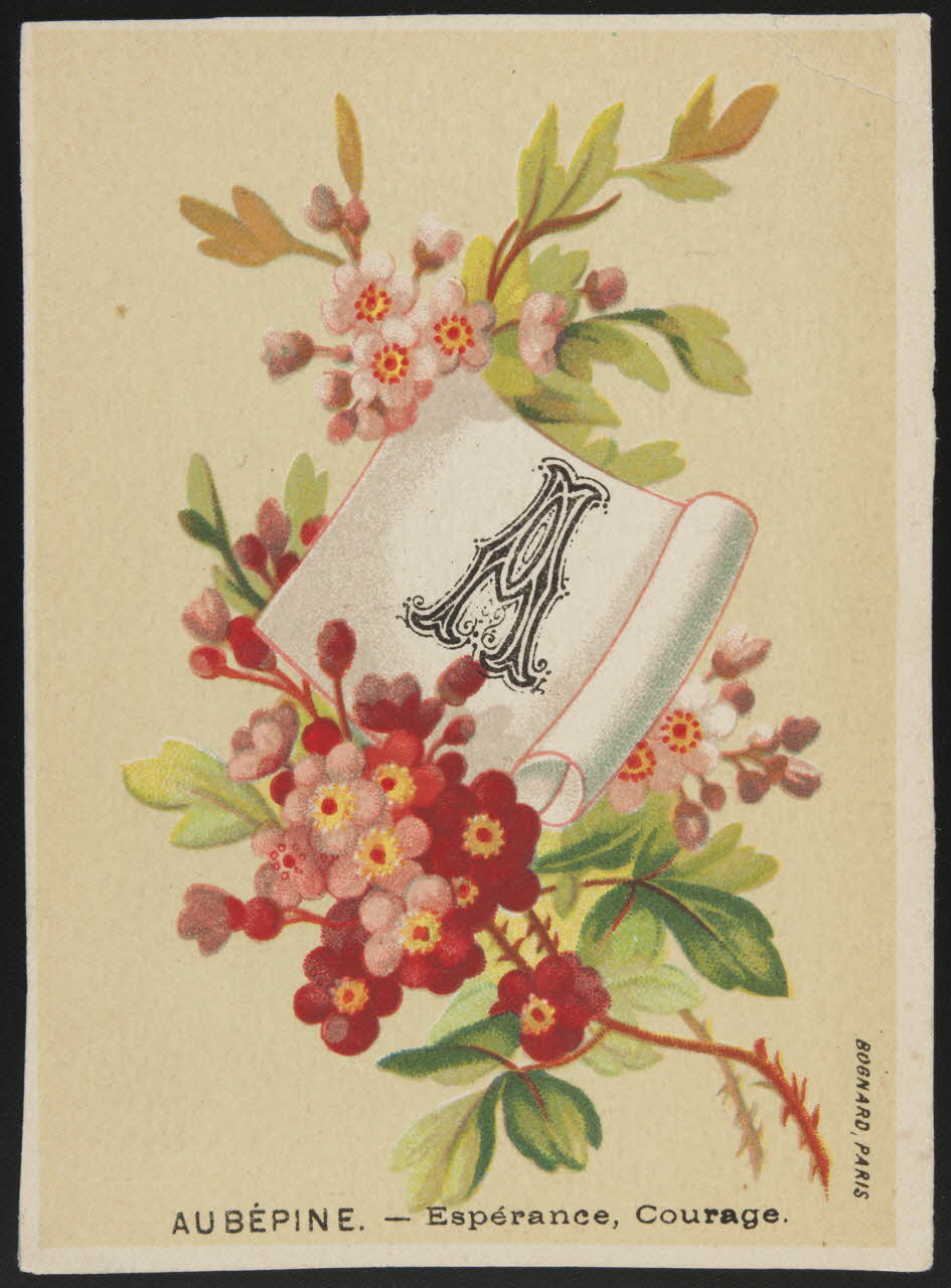 Bognard carte réclame chromo Paris 1910-1920 1995.1.1004.1 Photo