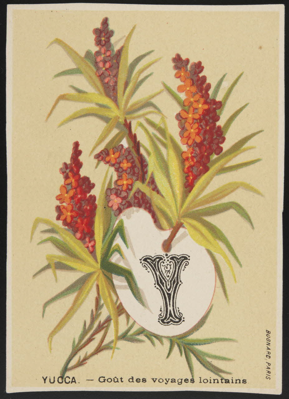 Bognard carte réclame chromo Paris 1910-1920 1995.1.1004.24 Photo