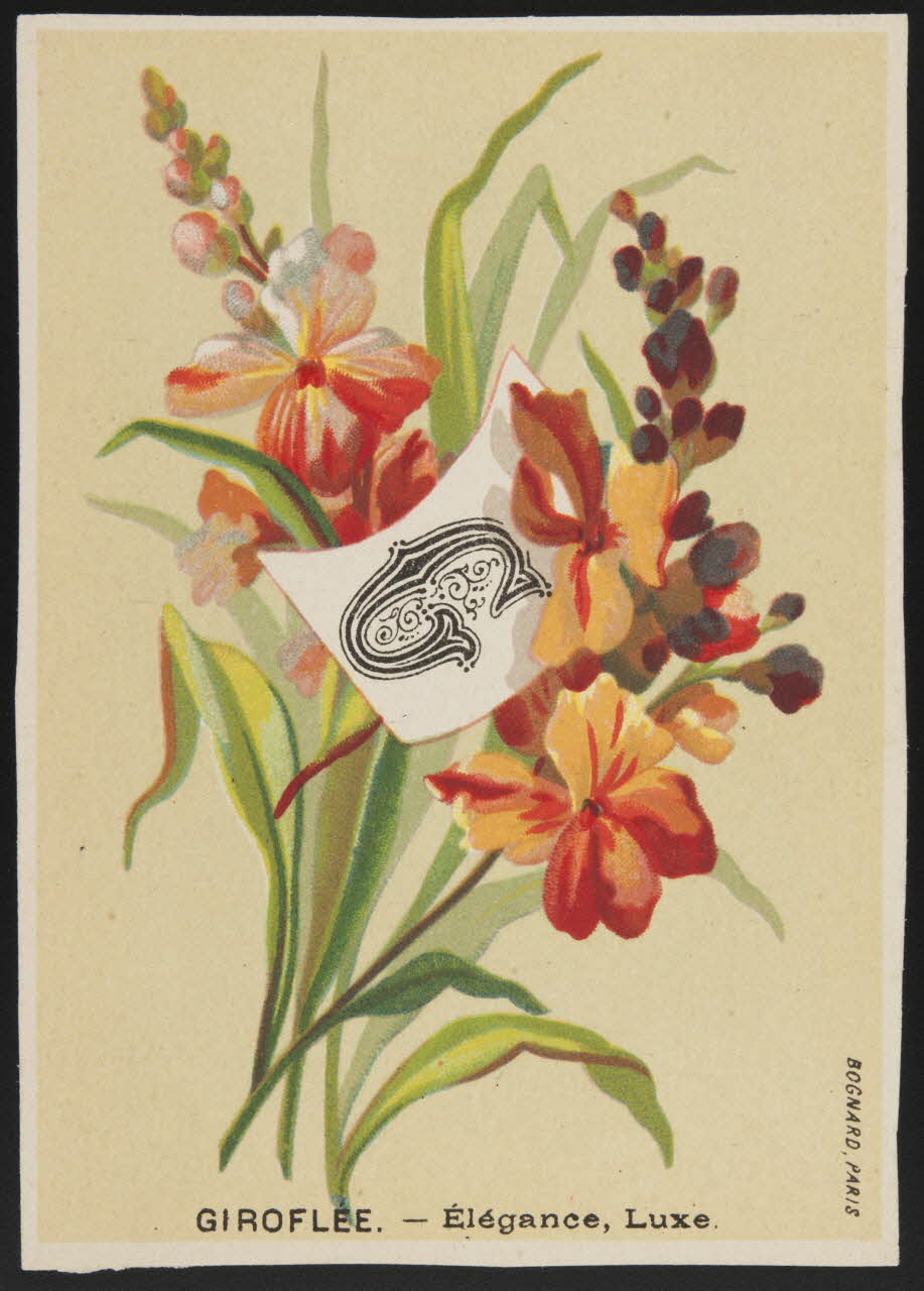 Bognard carte réclame chromo Paris 1910-1920 1995.1.1004.7 Photo