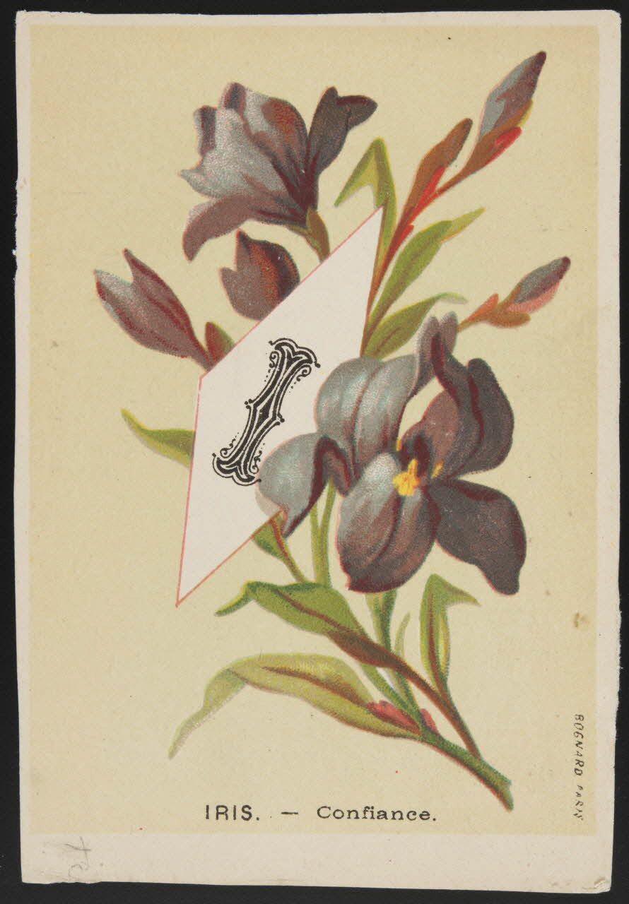 Bognard carte réclame chromo Paris 1910-1920 1995.1.1004.9 Photo