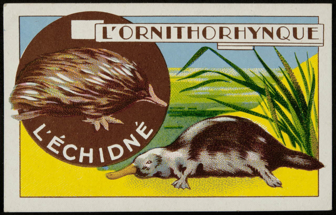 Hachette carte réclame chromo Paris 1878-1914 1995.1.1017.11 Photo