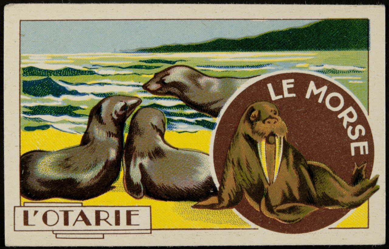 Hachette carte réclame chromo Paris 1878-1914 1995.1.1017.12 Photo