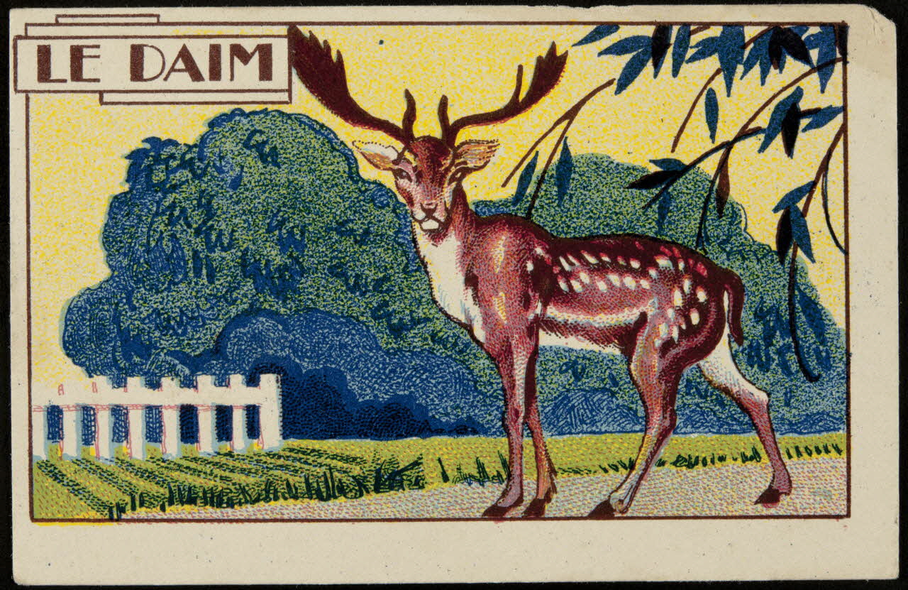 Hachette carte réclame chromo Paris 1878-1914 1995.1.1017.6 Photo