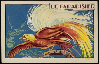 Hachette carte réclame chromo Paris 1878-1914 1995.1.1017.8 Photo