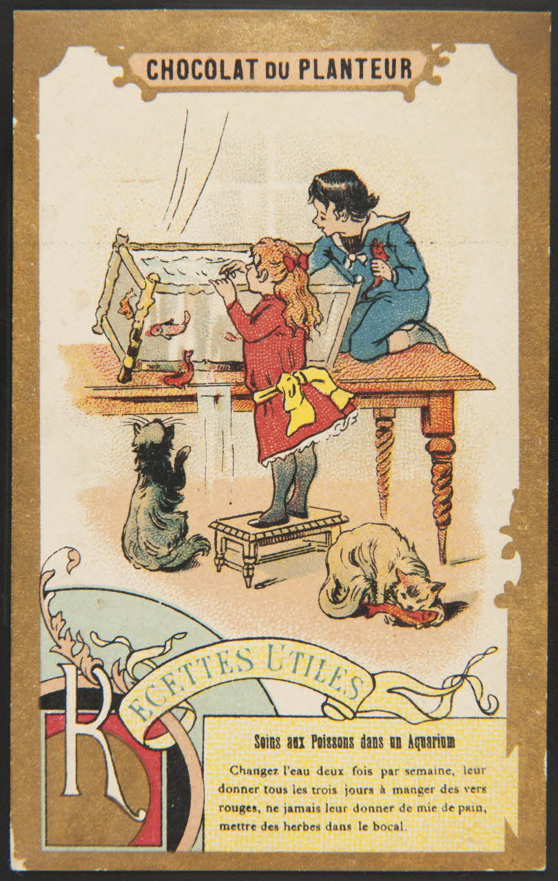 Herold; ; La Compagnie coloniale carte réclame chromo Paris 1895-1914 1995.1.1019.27 Photo