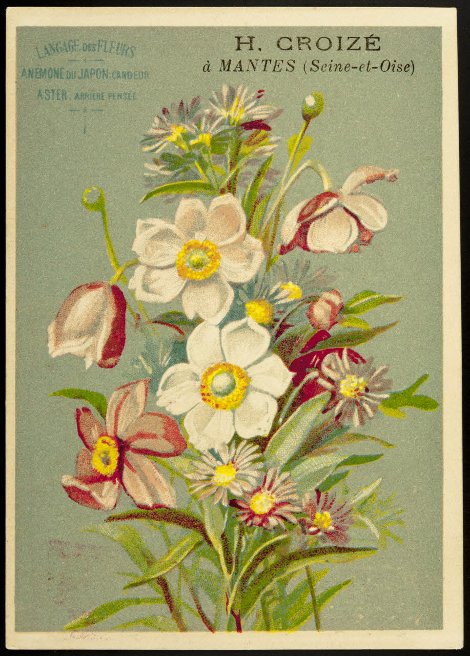 Elie J. carte réclame chromo Paris 1880-1900 1995.1.1025.1 Photo