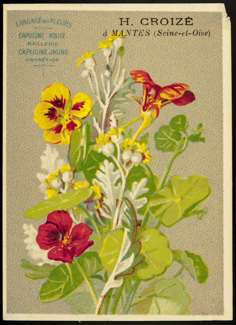 Elie J. carte réclame chromo Paris 1880-1900 1995.1.1025.2 Photo