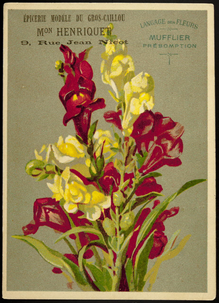 Elie J. carte réclame chromo Paris 1880-1900 1995.1.1025.7 Photo