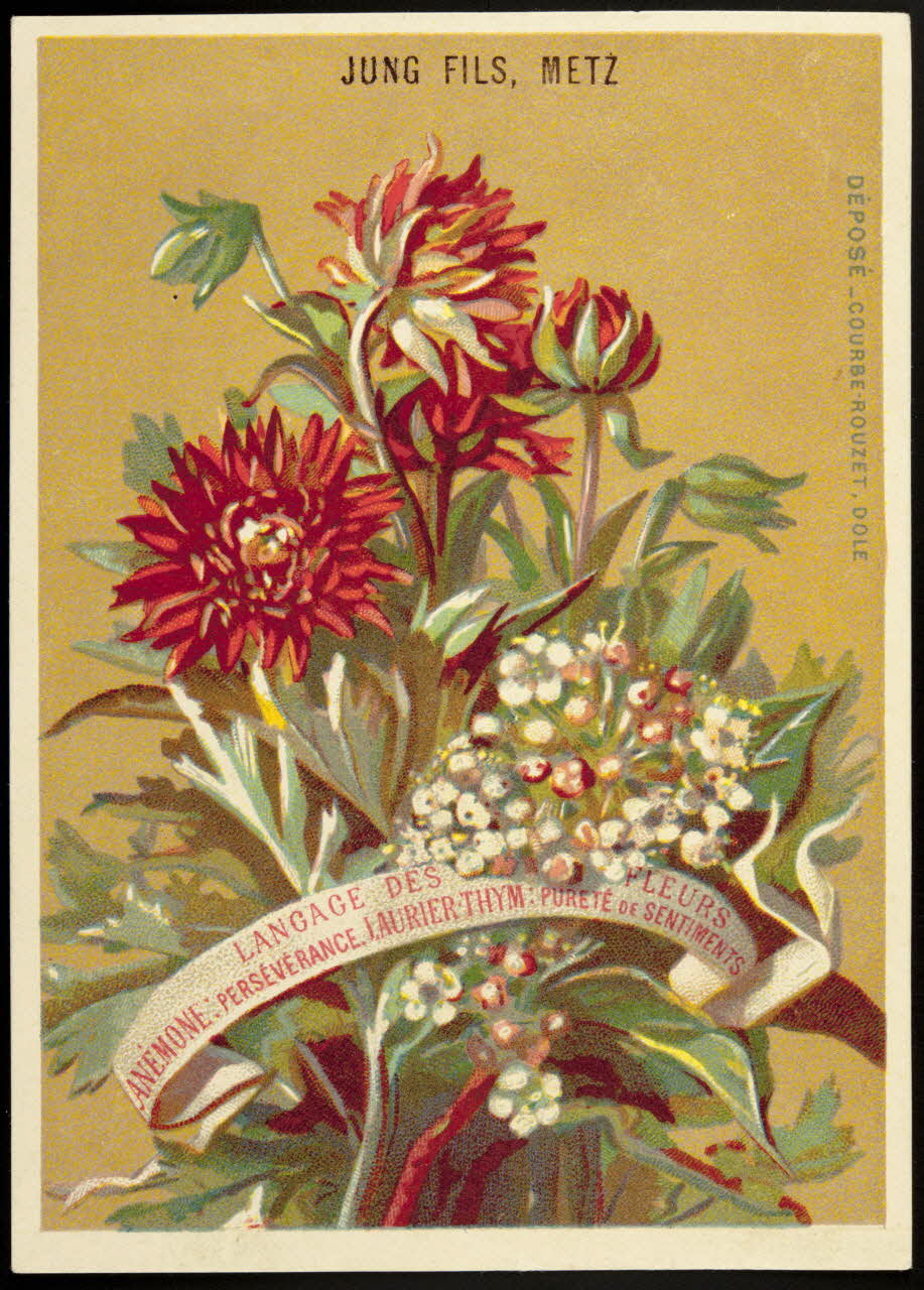 carte réclame chromo Dôle 1880-1900 1995.1.1027.1 Photo