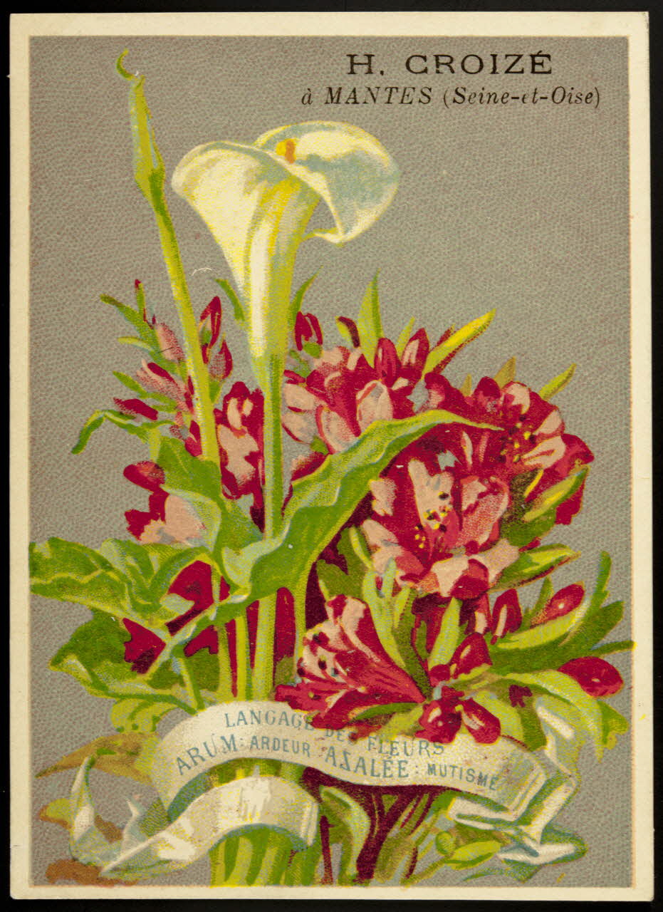 Elie J. carte réclame chromo Dôle 1880-1900 1995.1.1027.2 Photo