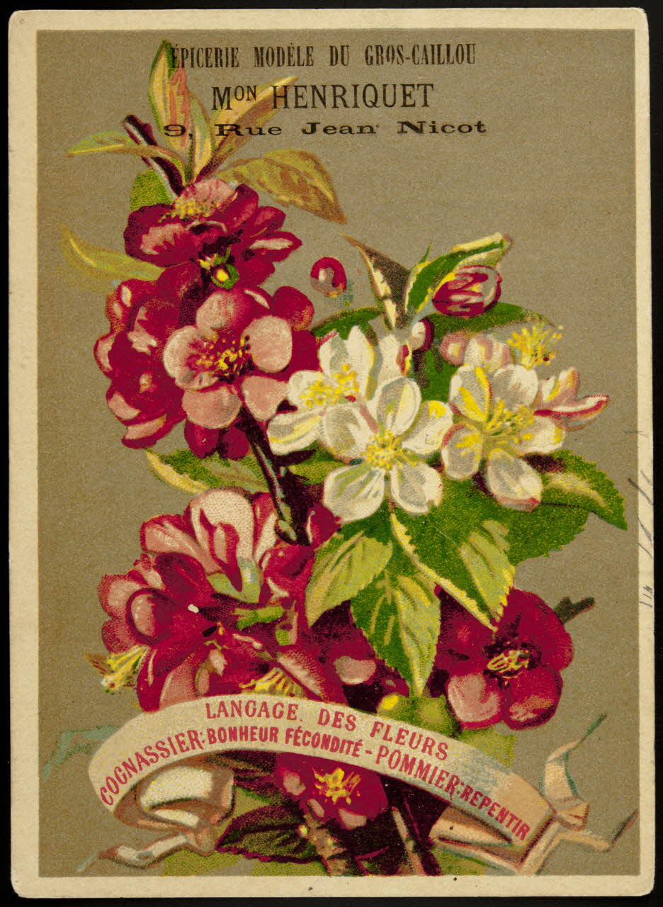 carte réclame chromo Dôle 1881-1889 1995.1.1027.3 Photo