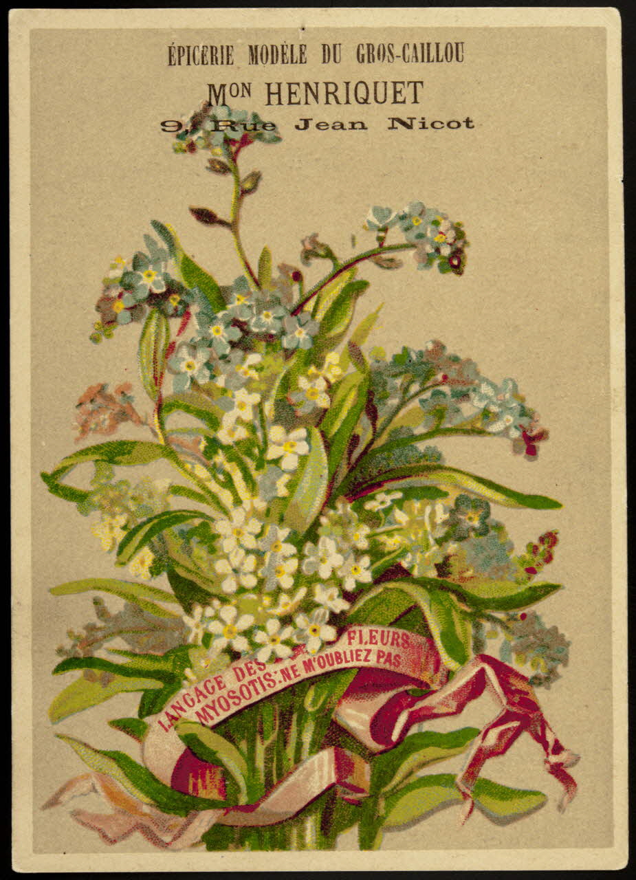 carte réclame chromo Dôle 1881-1889 1995.1.1027.6 Photo