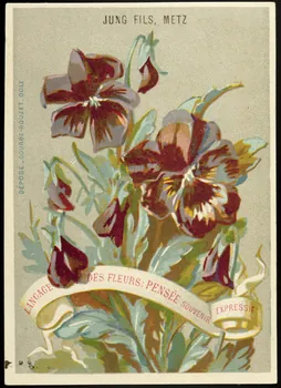 carte réclame chromo Dôle 1880-1900 1995.1.1027.9 Photo