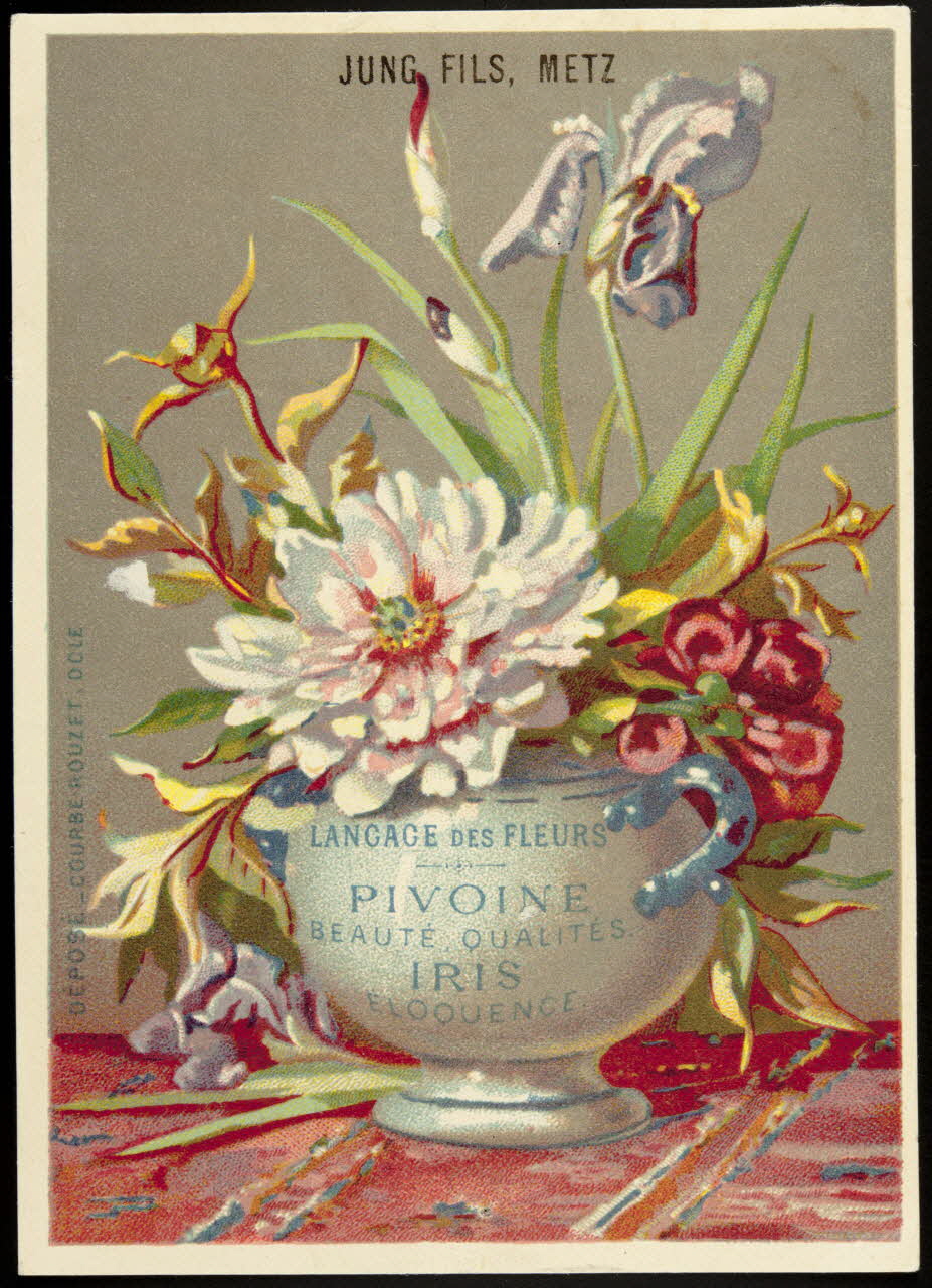 carte réclame chromo Dôle 1880-1900 1995.1.1028.5 Photo