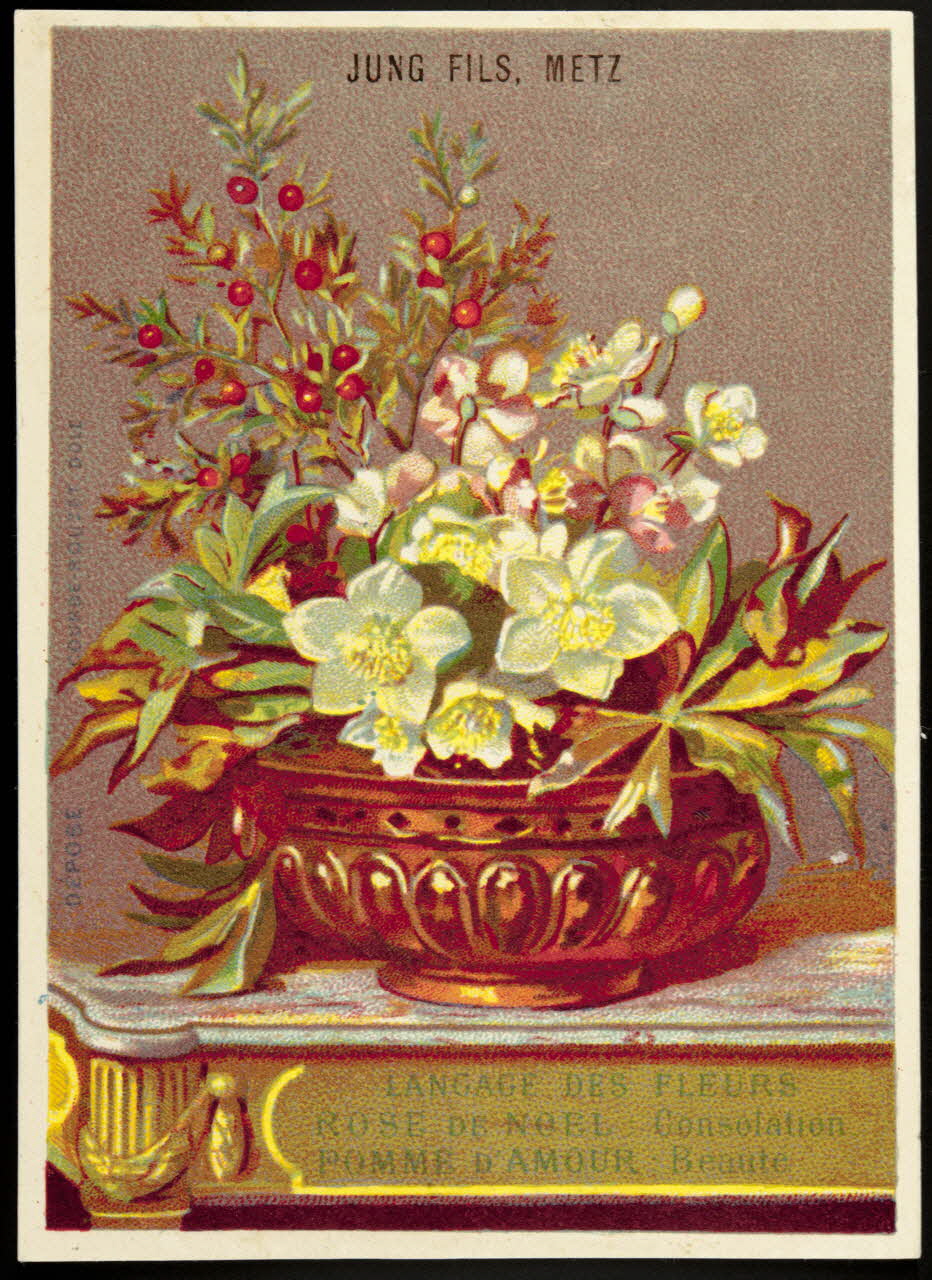 carte réclame chromo Dôle 1880-1900 1995.1.1028.7 Photo