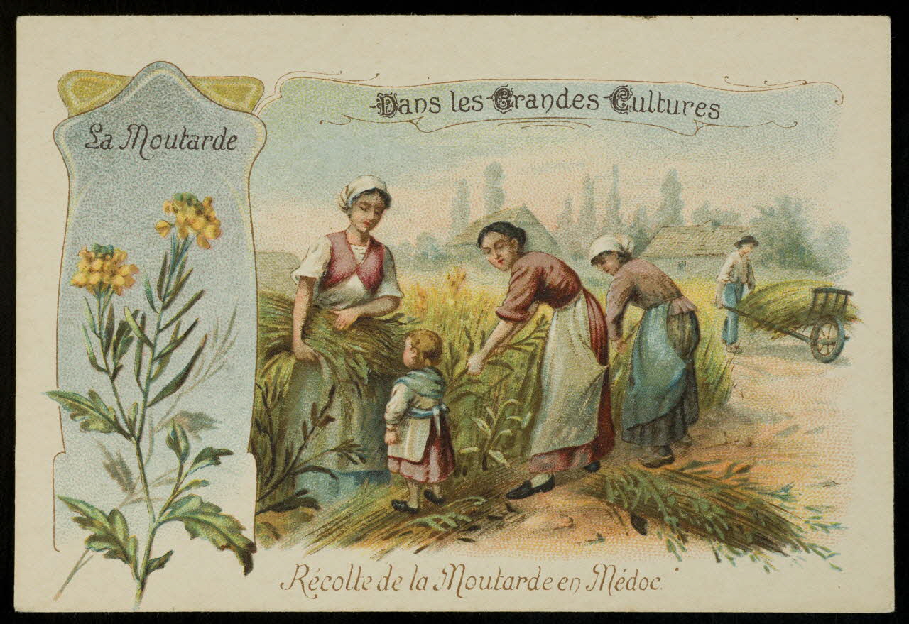 Romanet carte réclame chromo Paris 1877-1907 1995.1.1050.15 Photo