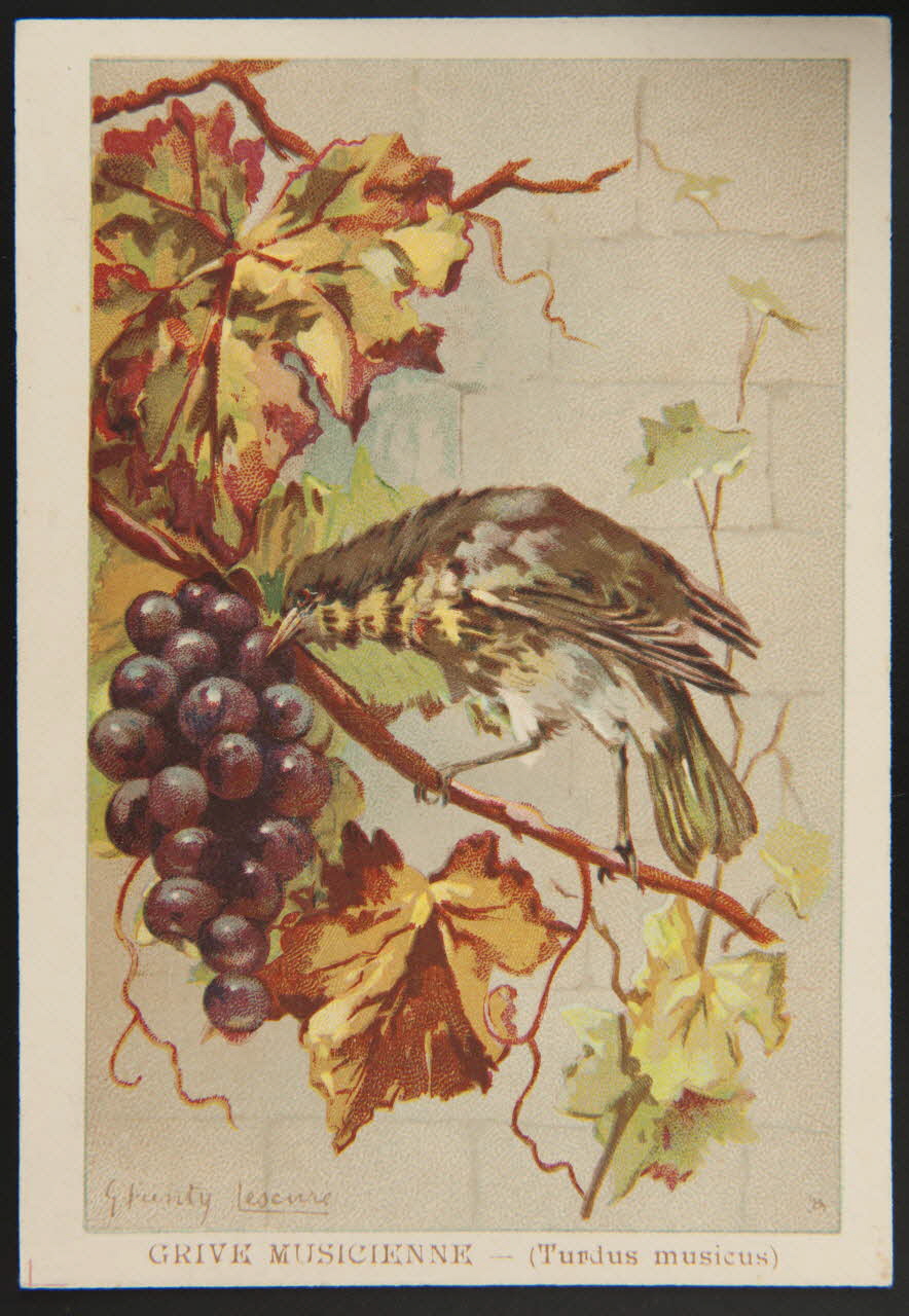 carte réclame chromo 1995.1.1053.20 Photo