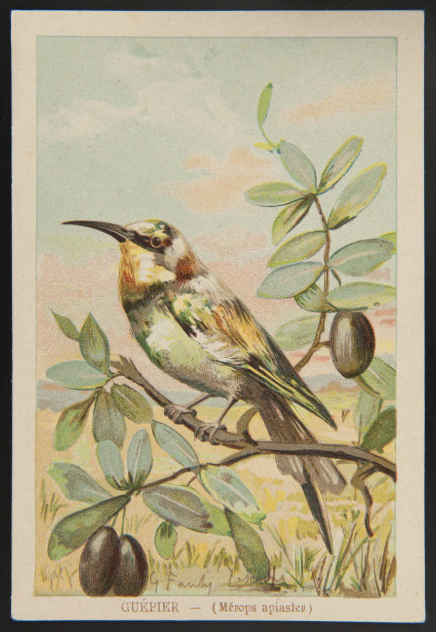 carte réclame chromo 1995.1.1053.21 Photo