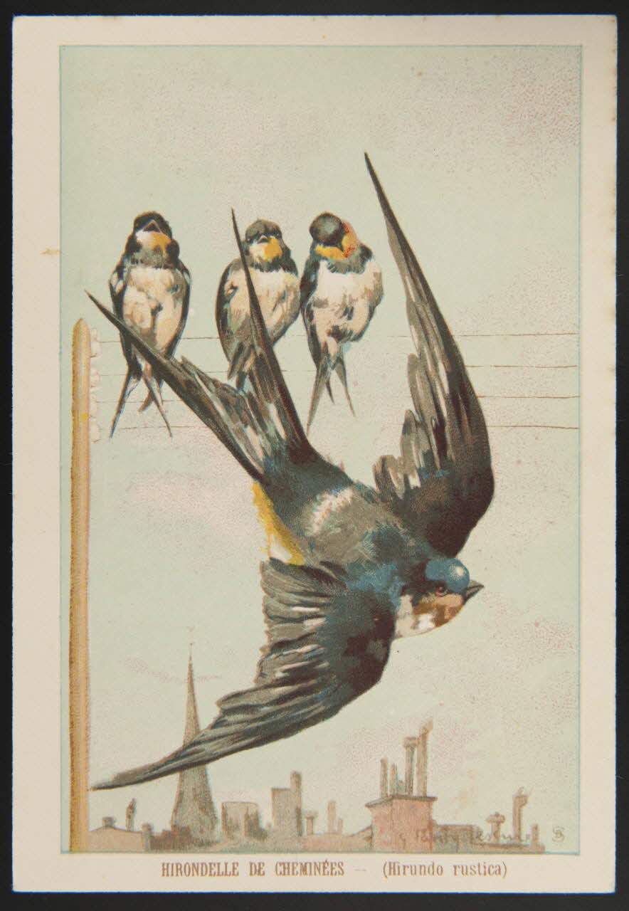 carte réclame chromo 1995.1.1053.23 Photo