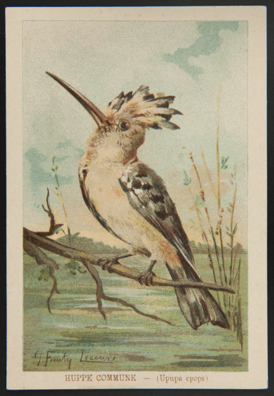 carte réclame chromo 1995.1.1053.24 Photo