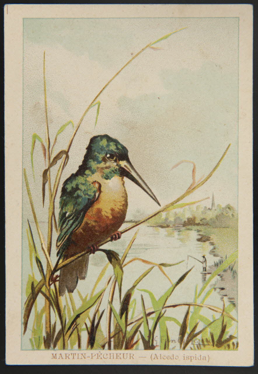 carte réclame chromo 1995.1.1053.26 Photo