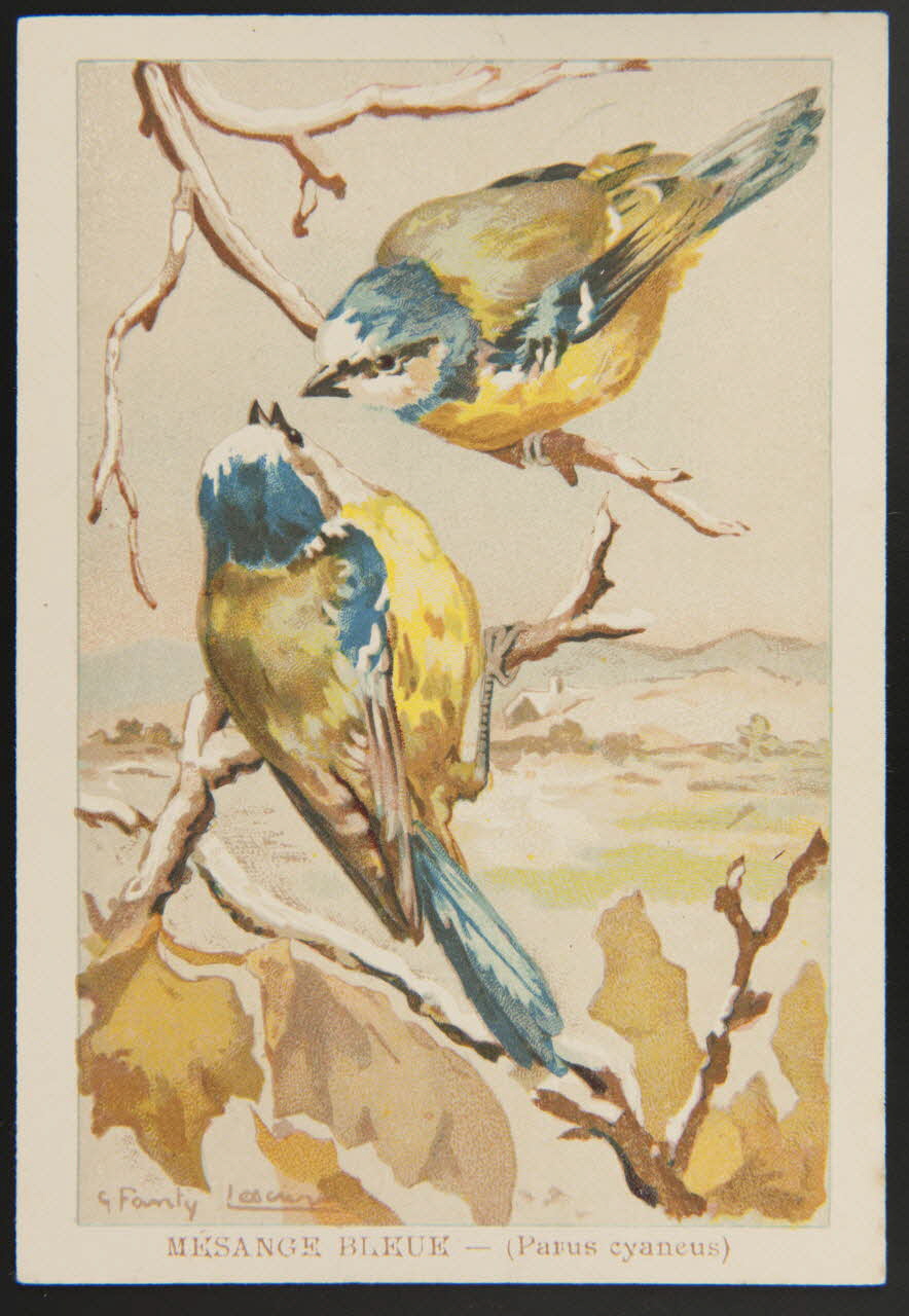 carte réclame chromo 1995.1.1053.30 Photo