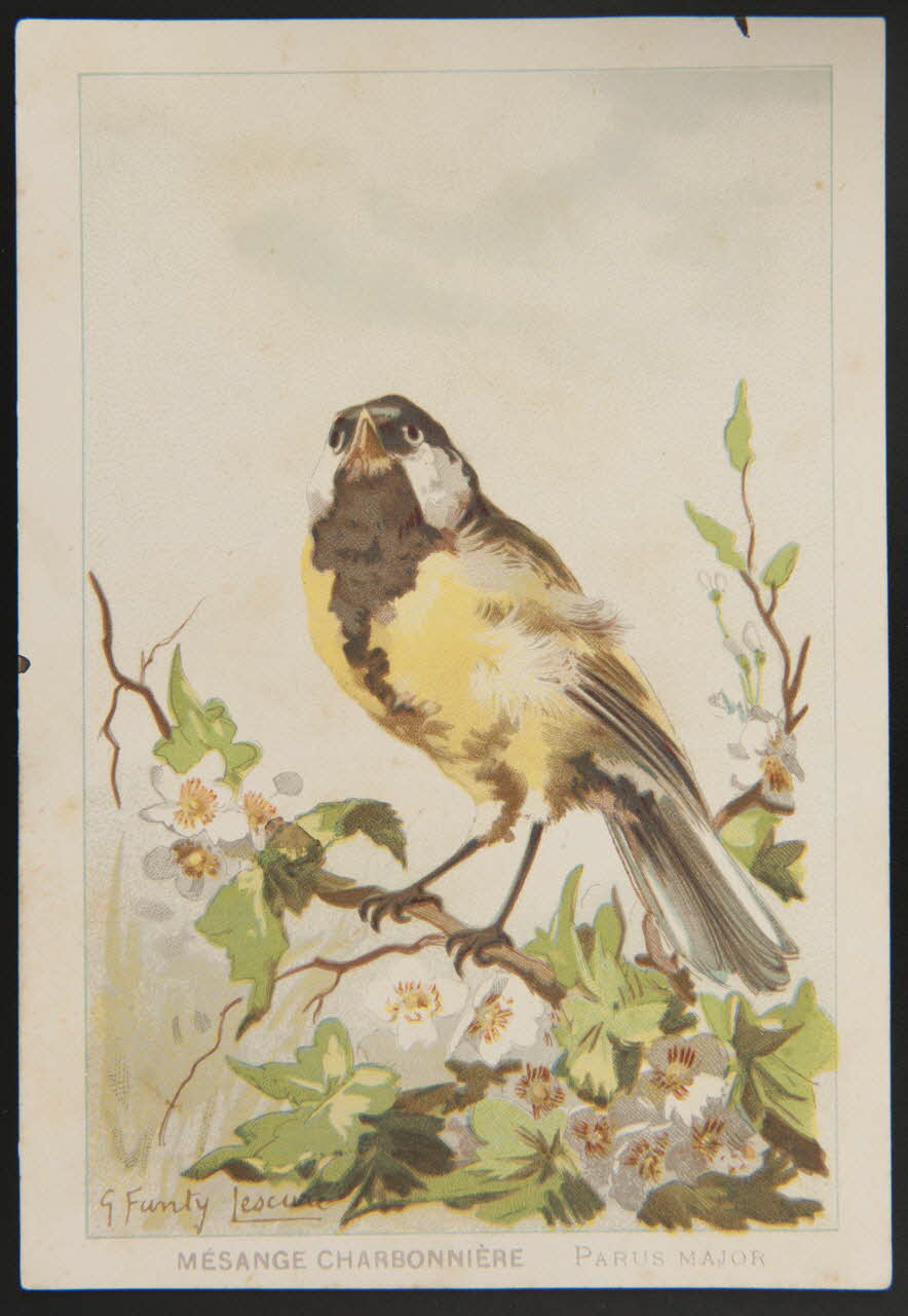 carte réclame chromo 1995.1.1053.31 Photo