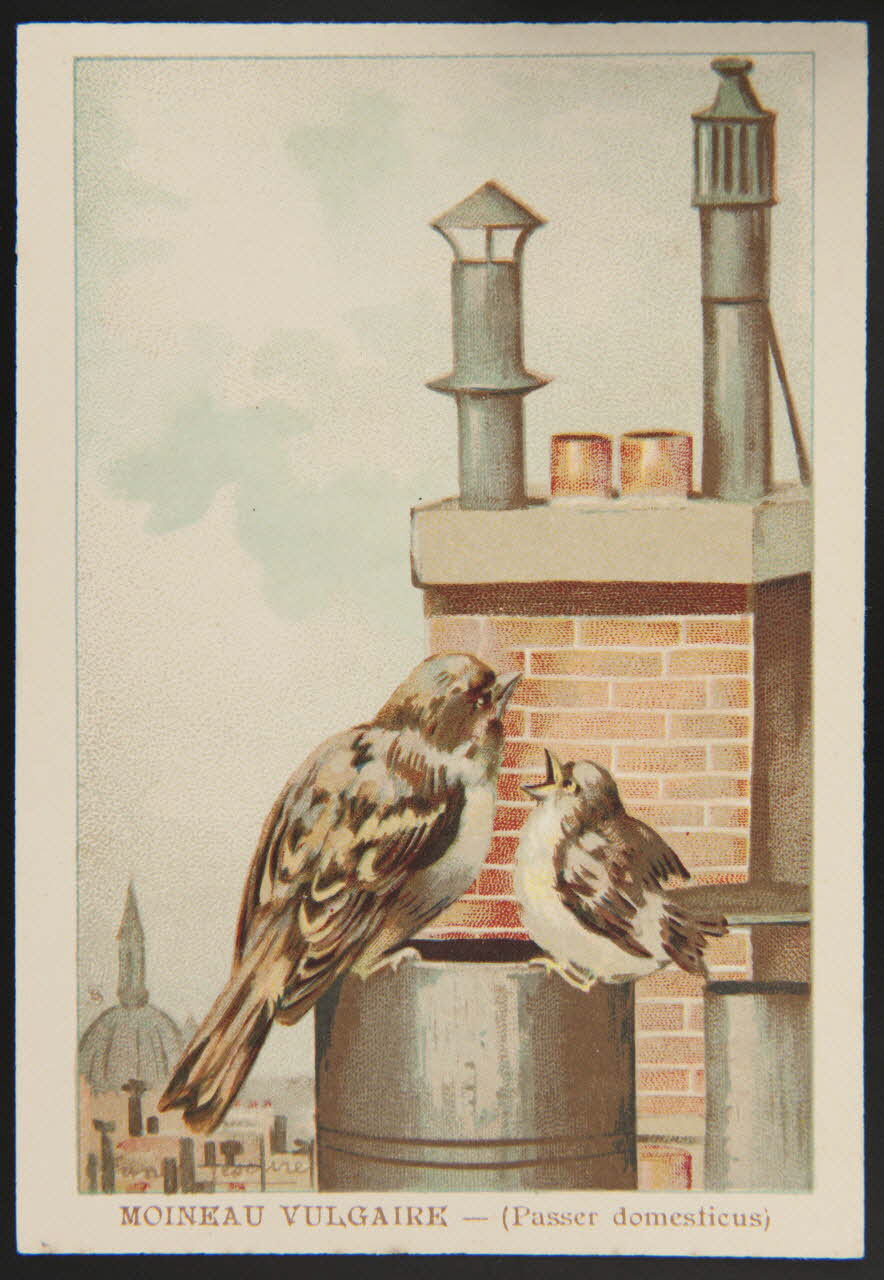 carte réclame chromo 1995.1.1053.32 Photo