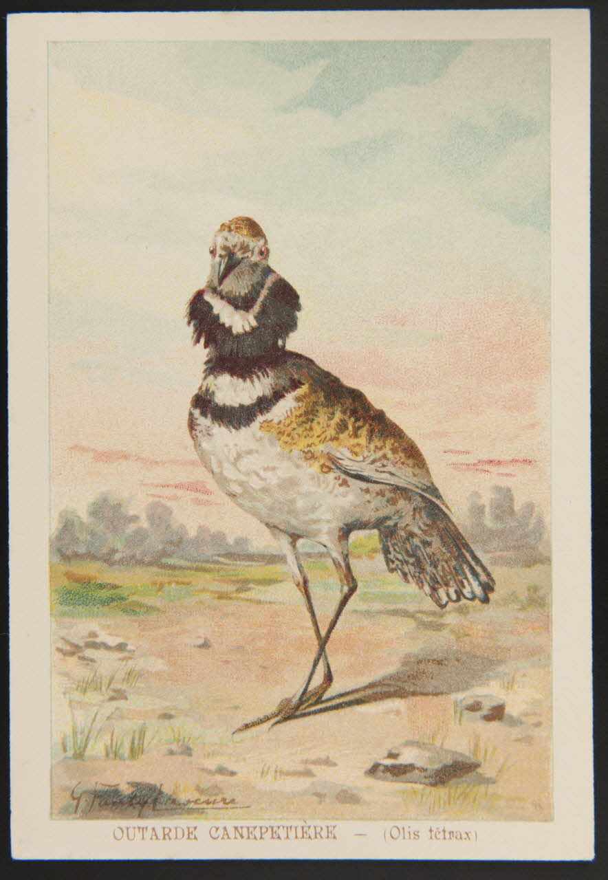 carte réclame chromo 1995.1.1053.33 Photo