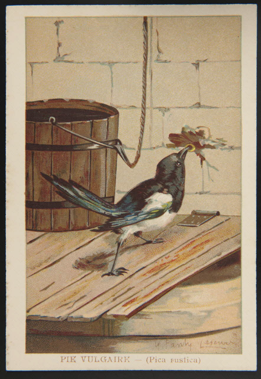 carte réclame chromo 1995.1.1053.36 Photo