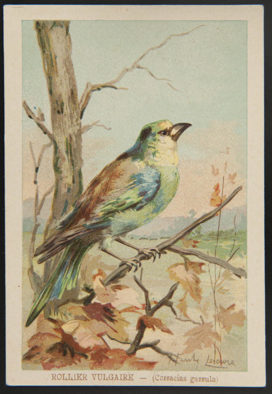 carte réclame chromo 1995.1.1053.38 Photo