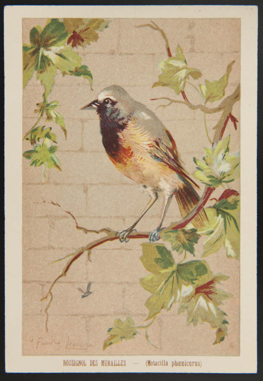 carte réclame chromo 1995.1.1053.39 Photo