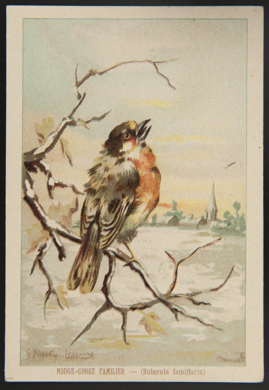 carte réclame chromo 1995.1.1053.40 Photo