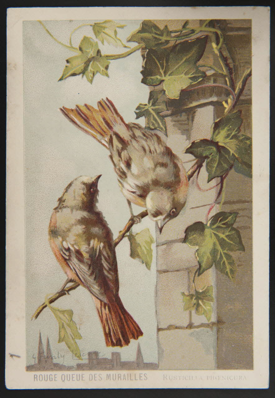 carte réclame chromo 1995.1.1053.41 Photo