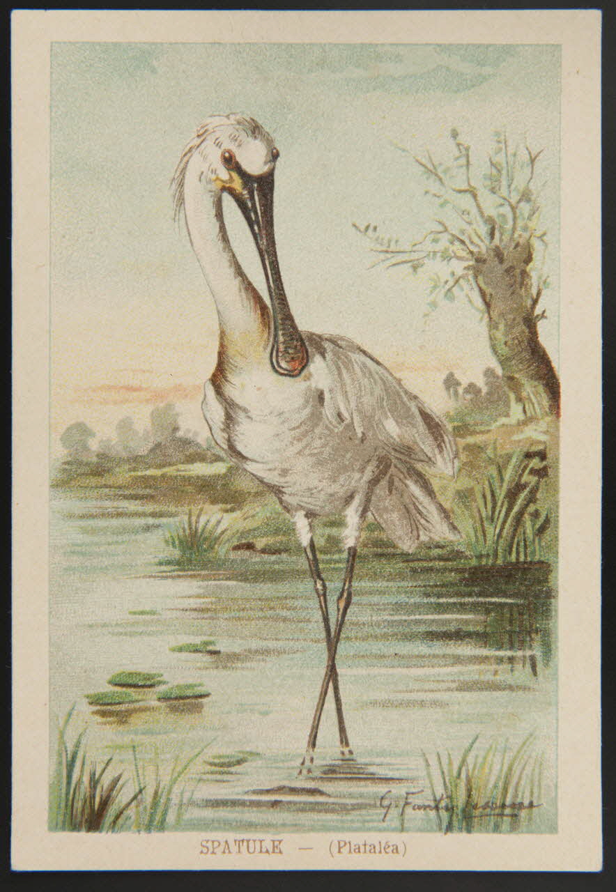 carte réclame chromo 1995.1.1053.42 Photo