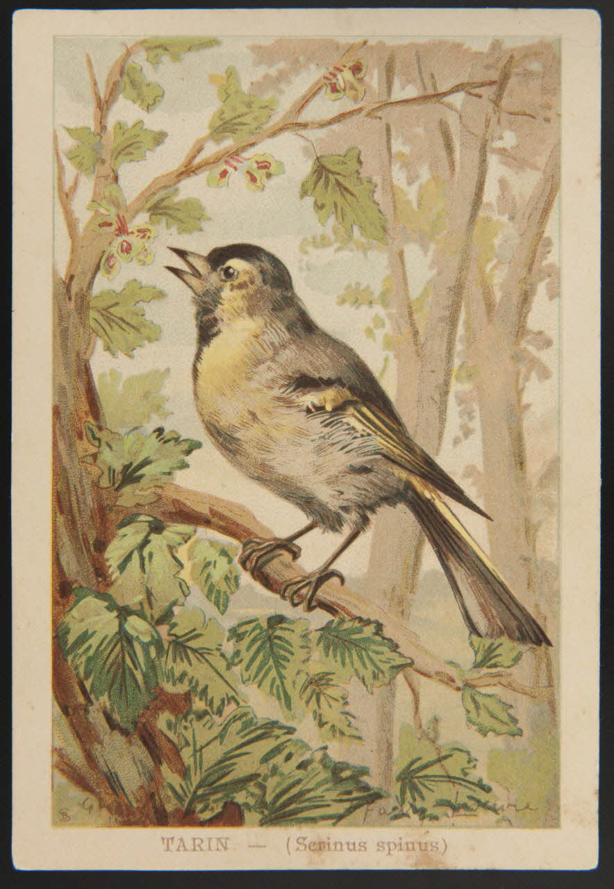 carte réclame chromo 1995.1.1053.45 Photo