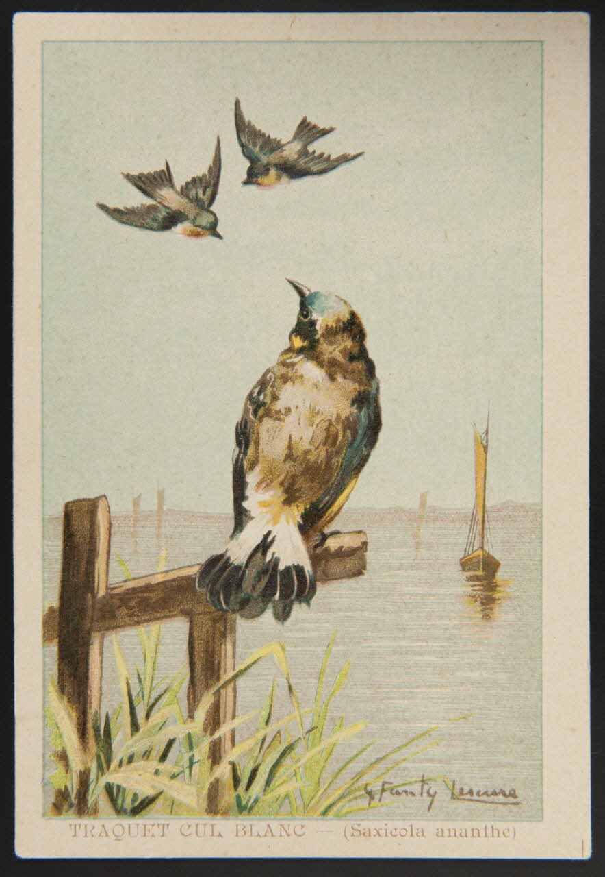 carte réclame chromo 1995.1.1053.47 Photo