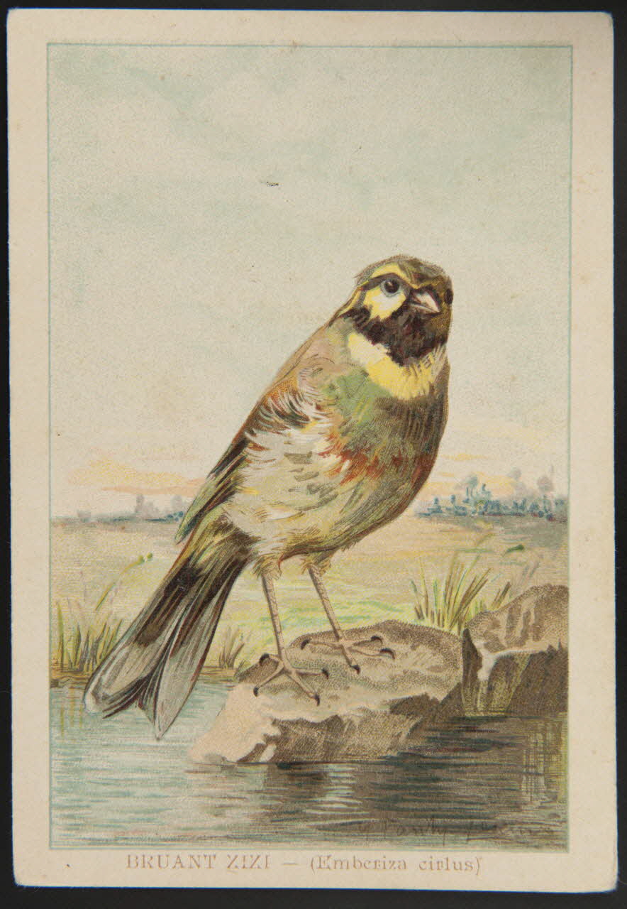 carte réclame chromo 1995.1.1053.5 Photo