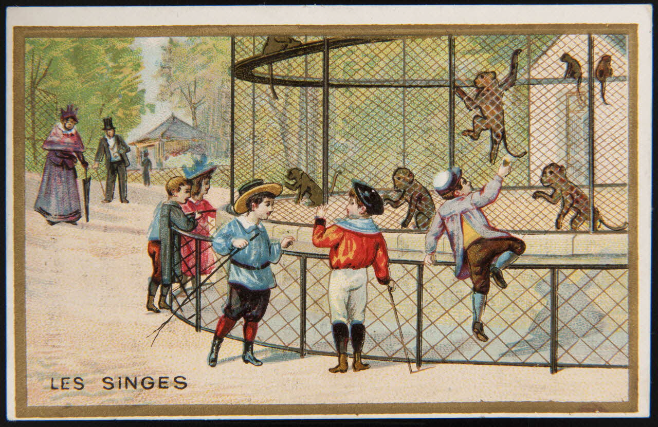 Imprimerie H. Laas carte réclame chromo Paris 1878-1900 1995.1.1114.5 Photo