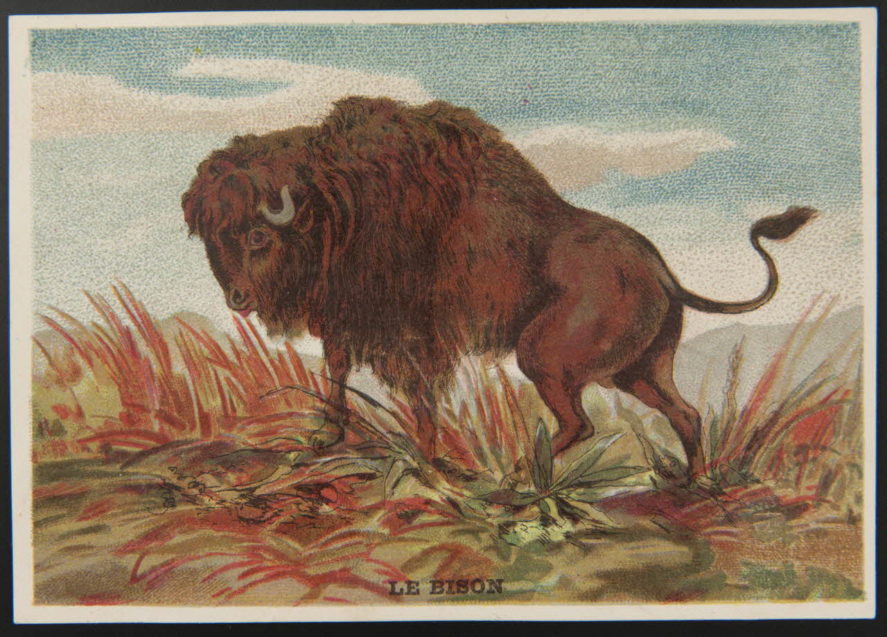 E Mesplès ; Baster & Vieillemard carte réclame chromo Paris 1878-1914 1995.1.120.2 Photo